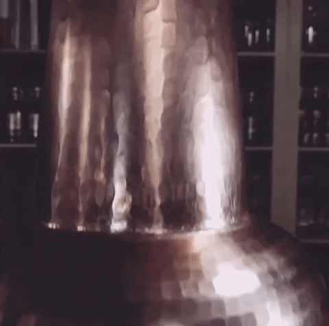 Brennerei Prinz Schnaps